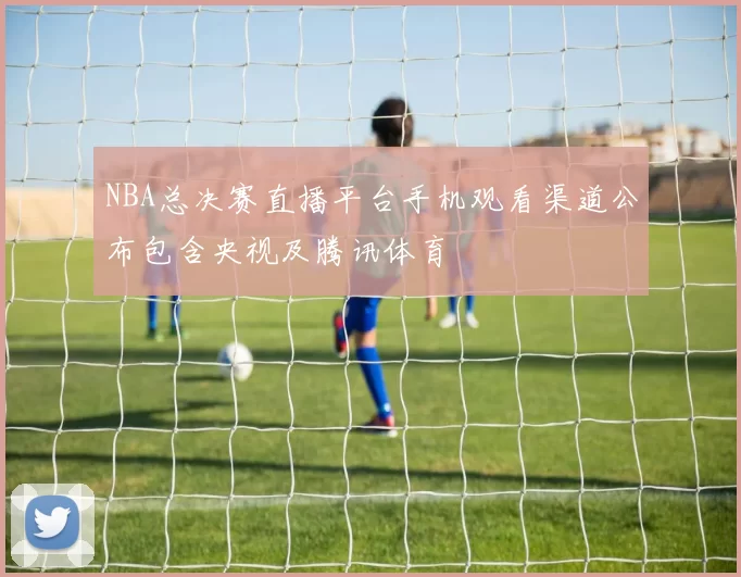 NBA总决赛直播平台手机观看渠道公布包含央视及腾讯体育