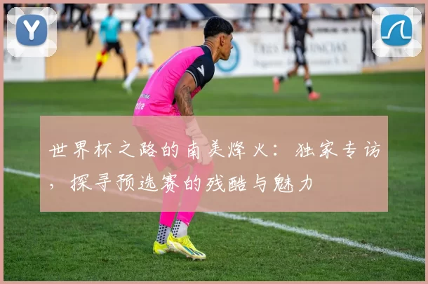 世界杯之路的南美烽火:独家专访,探寻预选赛的残酷与魅力