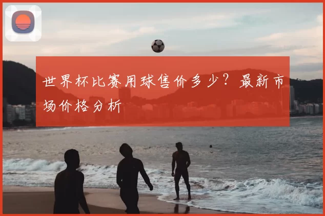 世界杯比赛用球售价多少?最新市场价格分析