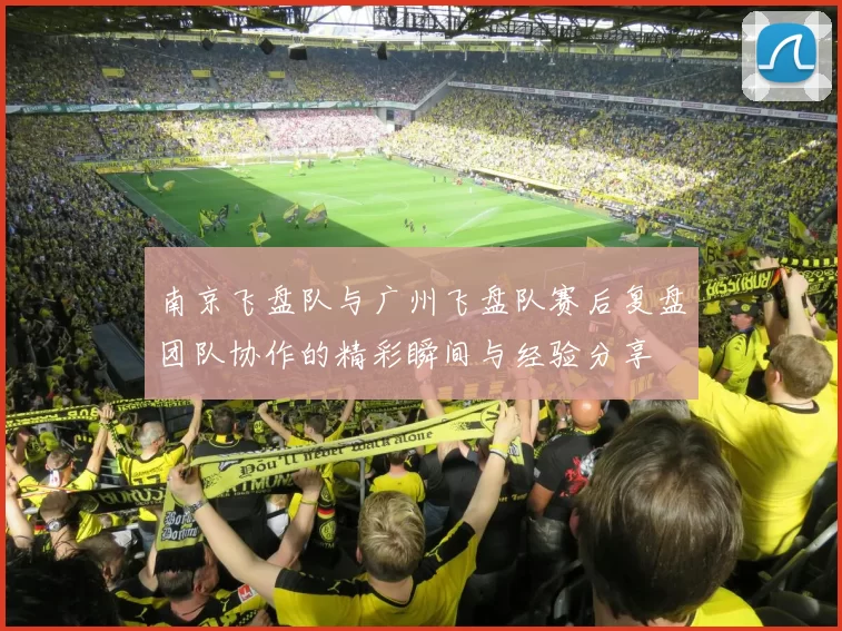 南京飞盘队与广州飞盘队赛后复盘团队协作的精彩瞬间与经验分享