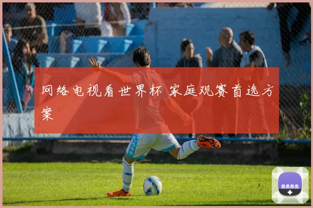 网络电视看世界杯 家庭观赛首选方案