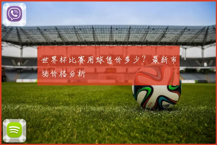 世界杯比赛用球售价多少？最新市场价格分析