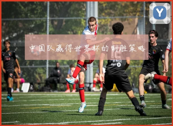 中国队赢得世界杯的制胜策略