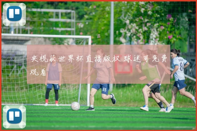 央视获世界杯直播版权 球迷可免费观看