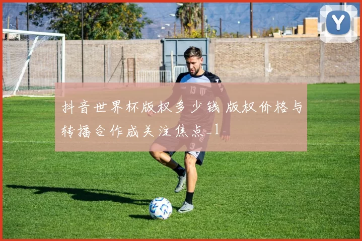抖音世界杯版权多少钱 版权价格与转播合作成关注焦点_1