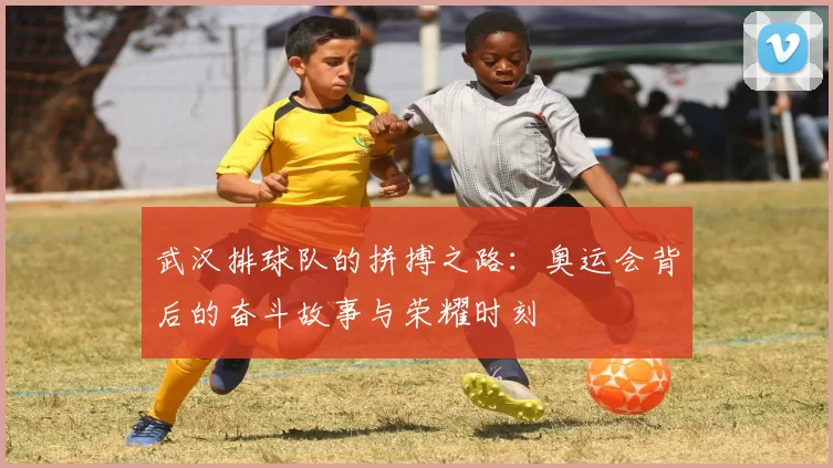 武汉排球队的拼搏之路:奥运会背后的奋斗故事与荣耀时刻