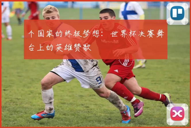 个国家的终极梦想:世界杯决赛舞台上的英雄赞歌
