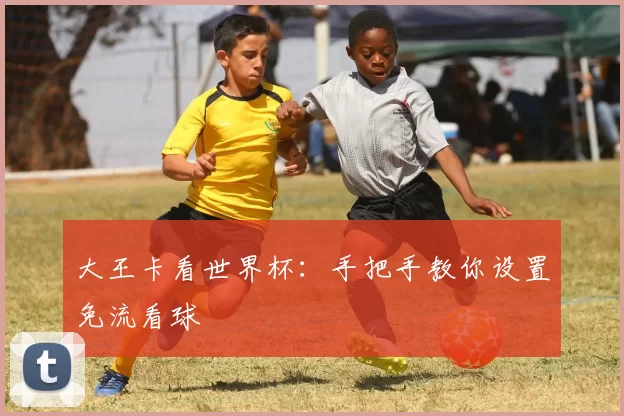 大王卡看世界杯：手把手教你设置免流看球