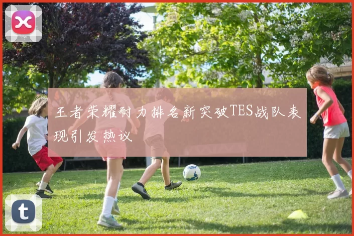 王者荣耀耐力排名新突破TES战队表现引发热议