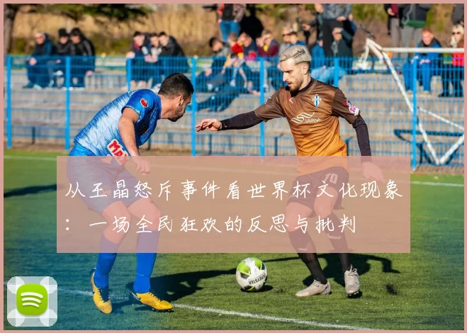 从王晶怒斥事件看世界杯文化现象：一场全民狂欢的反思与批判