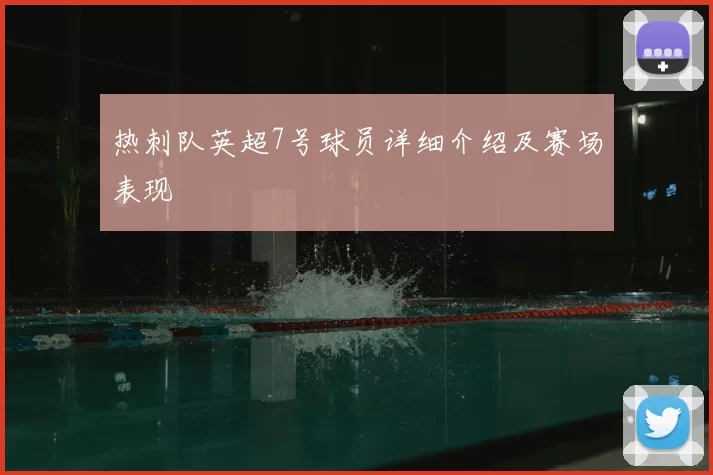 热刺队英超7号球员详细介绍及赛场表现