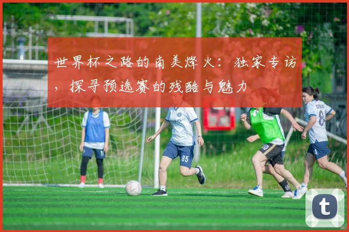 世界杯之路的南美烽火:独家专访,探寻预选赛的残酷与魅力