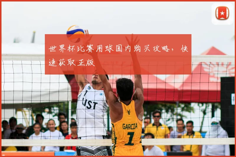 世界杯比赛用球国内购买攻略,快速获取正版